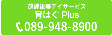 放課後等デイサービス 育はぐ Plus